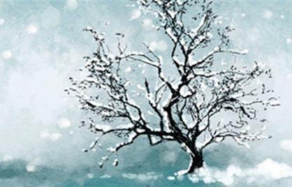 八字排盘能看出什幺