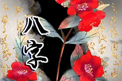 八字天干壬癸水旺财运