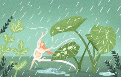 仙女下凡的命不好