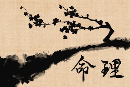 大年三十之前生的属什么的