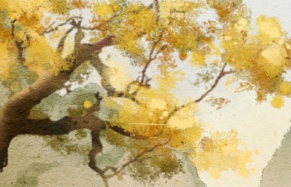 壁上土最怕被什幺克