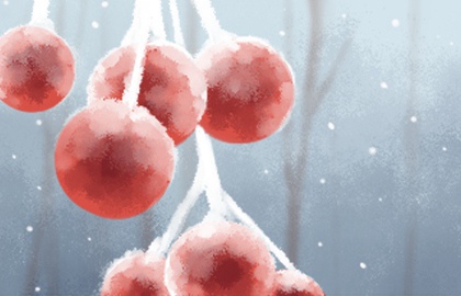 犯月有大富大贵的人