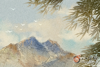 八字事业运分析