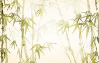 壁上土最怕被什幺克