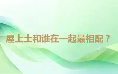 屋上土和谁在一起最相配？