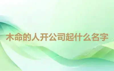 木命的人开公司起什么名字