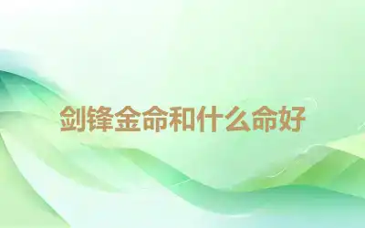 剑锋金命和什么命好