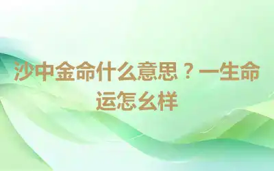 沙中金命什么意思？一生命运怎么样