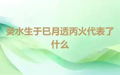 癸水生于巳月透丙火代表了什么